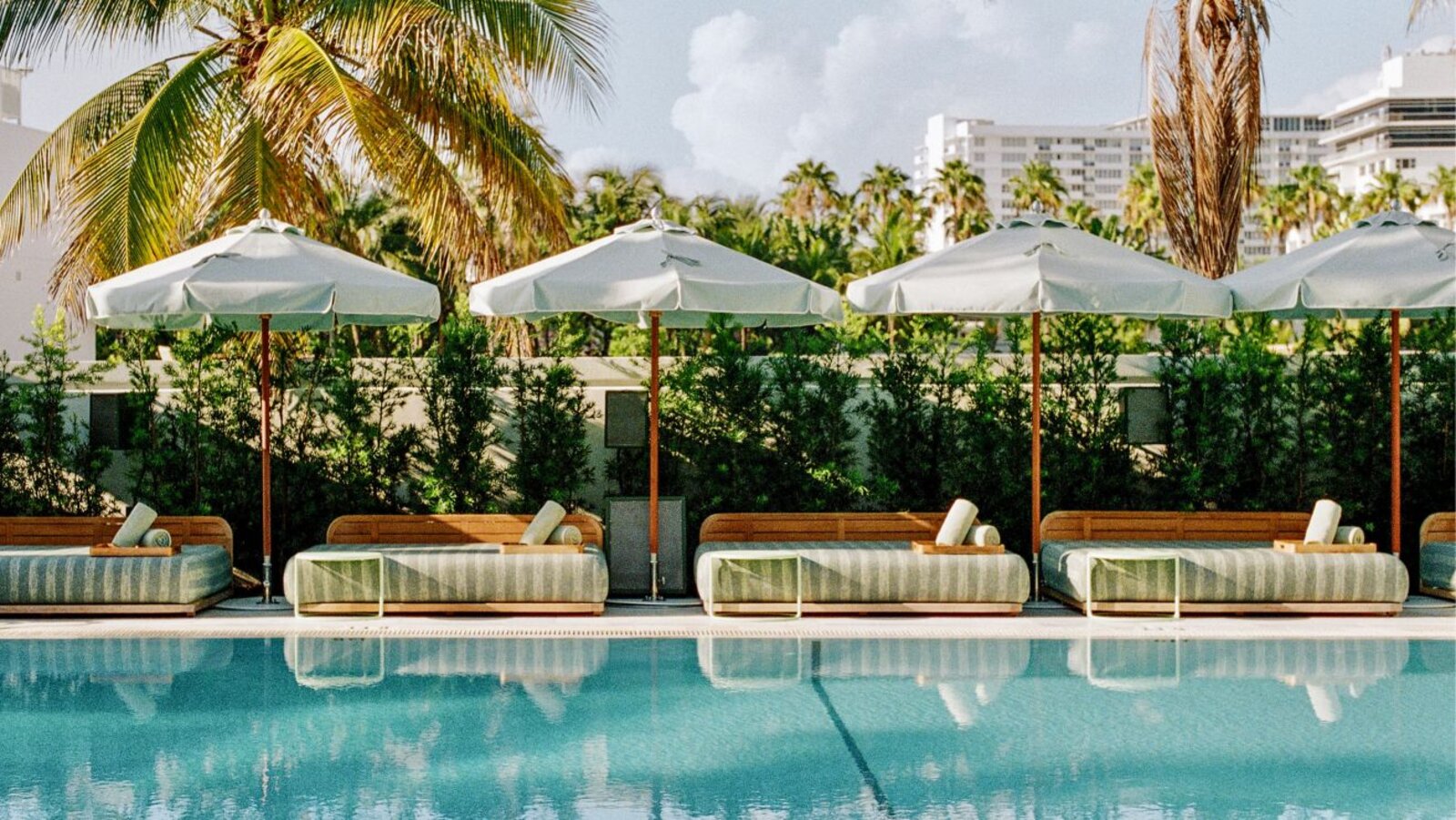 Hotels & Hospitality